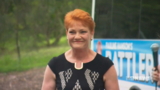 Pauline Hanson hits campaign trail 