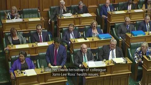 Video for Simon Bridges&#039; credibility “badly wounded” – Peter Dunne