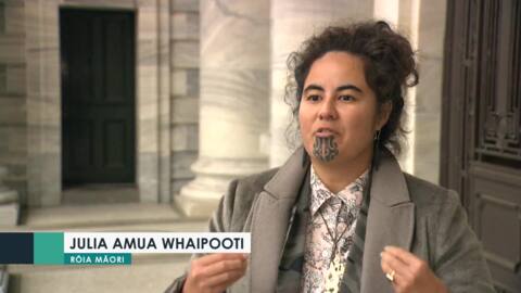 Video for Increasing amounts of Māori tasered by Police concerning - Julia Whaipooti