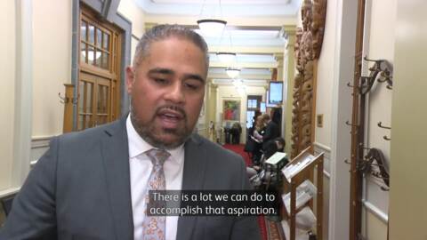 Video for Whānau Ora needs to deliver on its $80mil budget - National