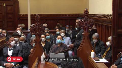 Video for No win, no loss either for iwi fighting for recognition in Tāmaki