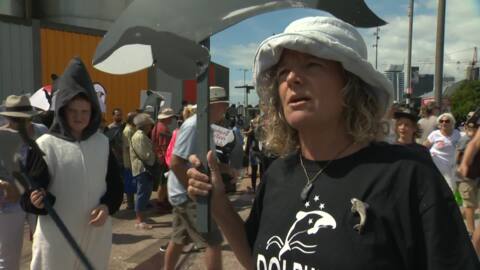 Video for Marching for endangered Māui and Hectors Dolphins.