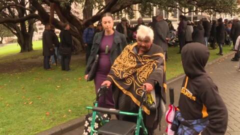 Video for Ngāti Whātua Ōrākei address tikanga issue in court 