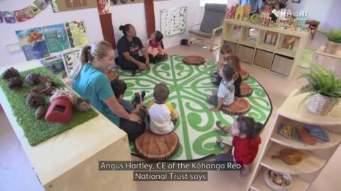 Video for Kōhanga Reo Treaty claim still in the works