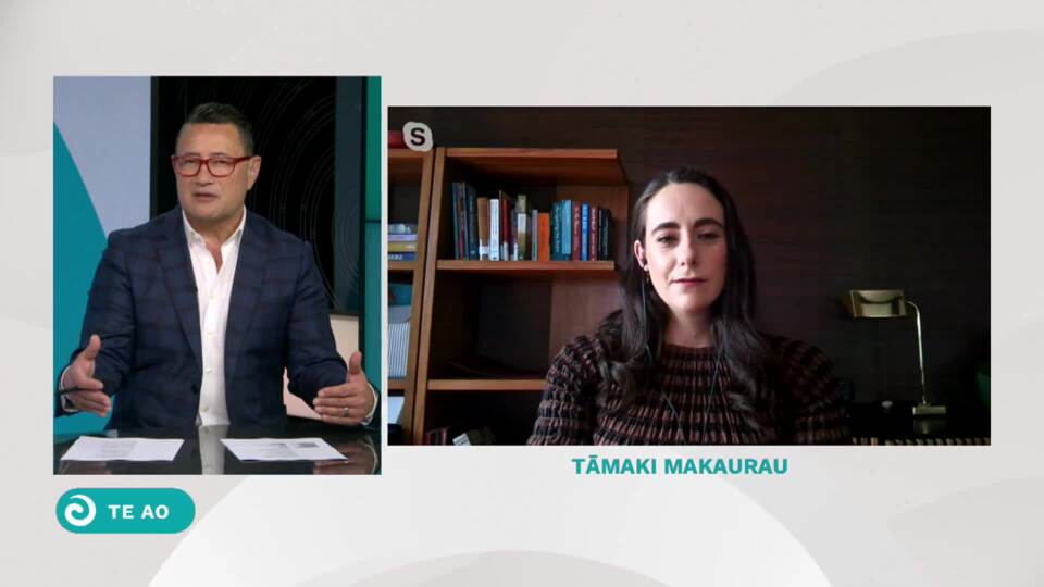 Video for Protestors may waste vote on Tamaki&#039;s new party - pundit