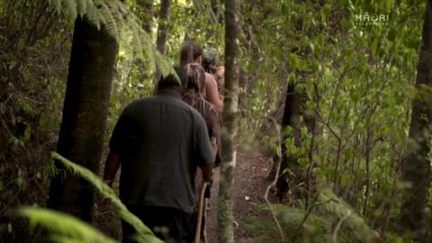Video for Northland woman&#039;s tour teaching care of forest among top in country 