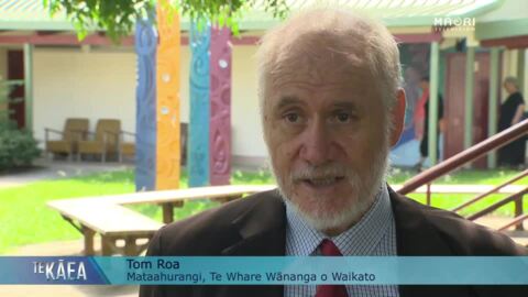 Video for Former Minister of Māori Development goes back to the classroom