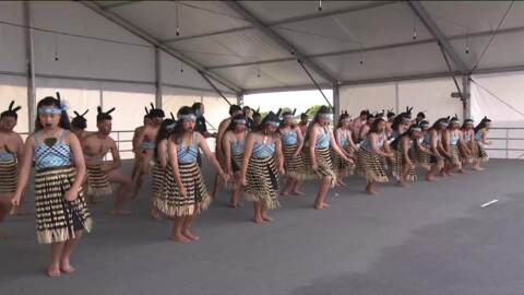 Video for 2021 ASB Polyfest, Puutake - James Cook High School, Waiata-ā-ringa