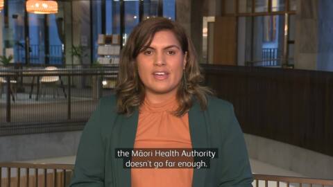 Video for Health and disability system review seeks major reforms
