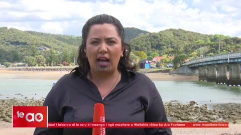 Video for Waitangi prepares to host the masses