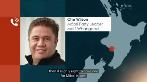 Video for Māori Party pres calls for independent commissioner for Māori issues