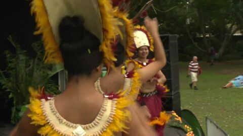 Video for Pasifika Festival just around the corner