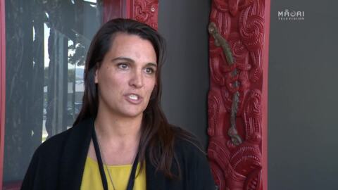 Video for More support needed to increase Māori teacher numbers – Iwi leaders