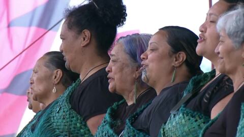 Video for 2020 Kapa Haka Regionals, Ngā Taipakeke o Ngāti Ranginui, Waiata Tira