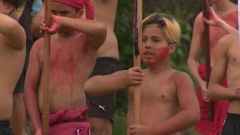 Video for Waitangi 2019 Gallery - Day One