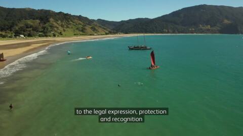 Video for He whakamana ā-ture nei i ngā rohe moana o Ngāti Porou