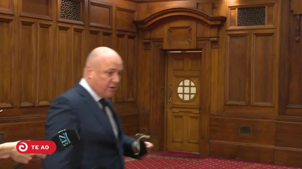 Video for Māori MPs grapple with being called the &#039;n-word&#039; on social media
