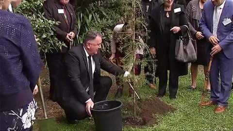 Video for Jones confirms tree planting in Manawatū-Whanganui 