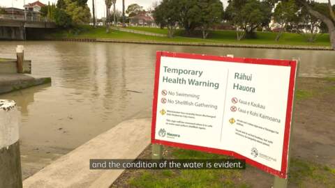 Video for Wildlife at risk due to river pollution