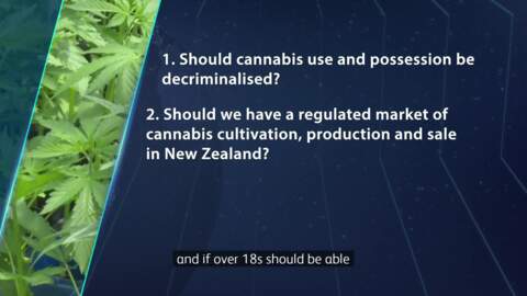 Video for Government referendum on cannabis doesn&#039;t go far enough - Expert