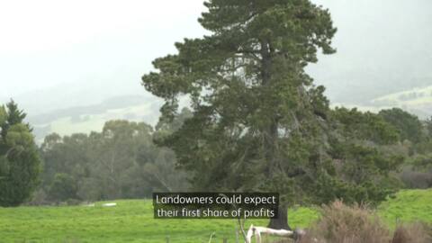Video for Marginal and erosion-prone land target of carbon trade scheme