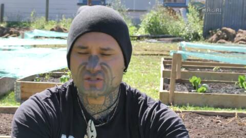 Video for Aotearoa Kai Gatherers founder turns thousands back to the land and ways of tūpuna