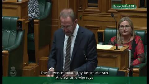 Video for Legalising abortion means women won’t have to lie - Andrew Little
