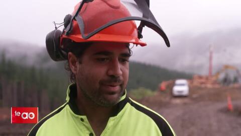 Video for Government funding boosts forestry career pathways
