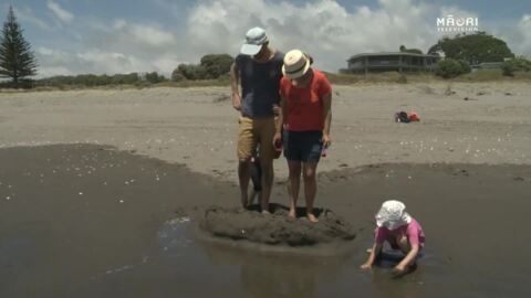 Video for Whānau holiday fun: &#039;Last sandcastle standing wins&#039;
