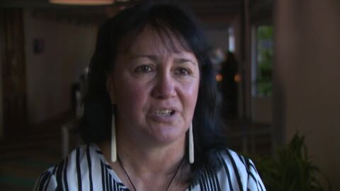 Video for Māori mental health concerns aired before govt inquiry panel 