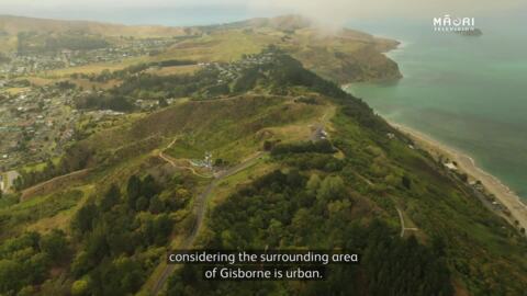 Video for 60,000 native rākau planted on Titirangi Maunga/Kaitī Hill