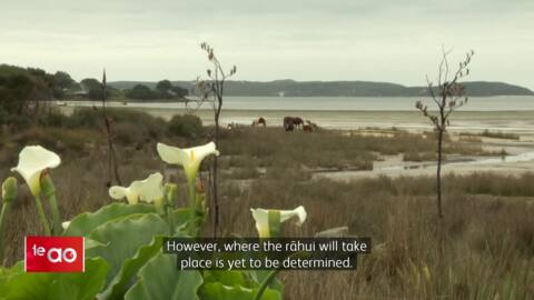 Video for Rāhui imposed following major boating tragedy off North Cape coast