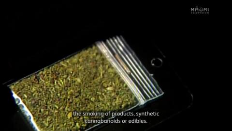 Video for Medicinal cannabis scheme open to public feedback