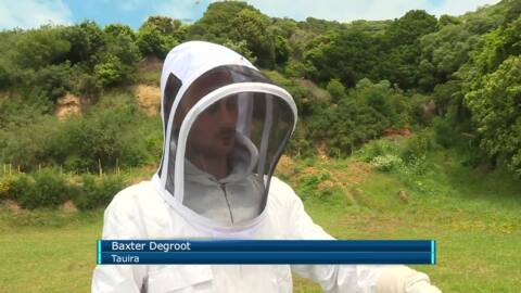 Video for Marae equips unemployed with beekeeping skills