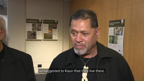 Video for Iwi research whalebone treatment for kauri dieback