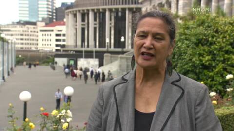 Video for RNZ/TVNZ merger raises questions about Māori broadcasting future