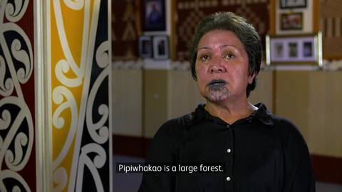 Video for Te Whare Kōrero o Rongowhakaata, Series 8 Episode 9