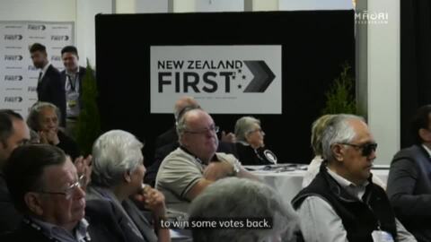 Video for NZ First celebrates 25 years 