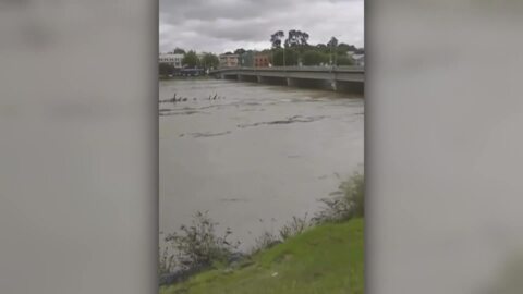 Video for Flood warnings in Manawatū