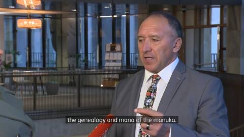 Video for Manuka Charitable Trust appointed kaitiaki of mānuka