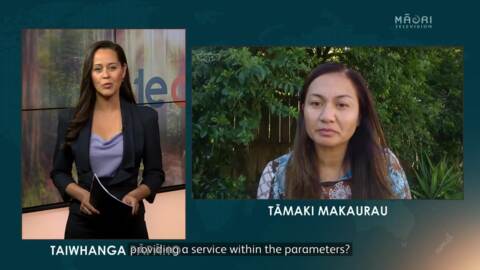 Video for Will the $27mil package for social services help the homeless? - Marama Davidson