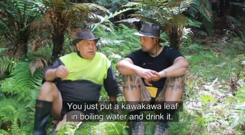 Video for Ngā Pari Kārangaranga, Te Urewera, 4 Ūpoko 7