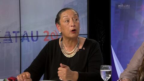 Video for Experts on how the  Te Tai Hauāuru debate went