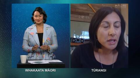 Video for Tourism relief package welcomed by Māori businesses