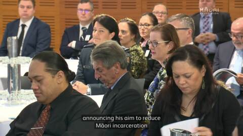 Video for &#039;Hōkai Rangi wont reduce Māori numbers in prisons&#039; - former inmate