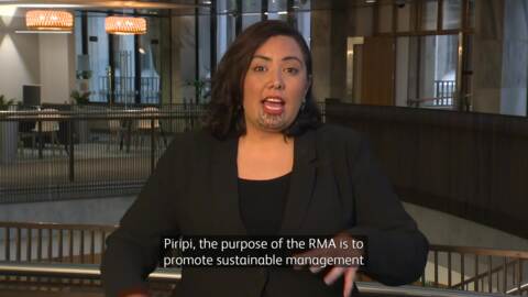 Video for &#039;I&#039;m just thinking about burning it in the rubbish bin&quot; -  Judith Collins on the RMA