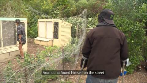 Video for Community garden brings hope to Wellington’s homeless