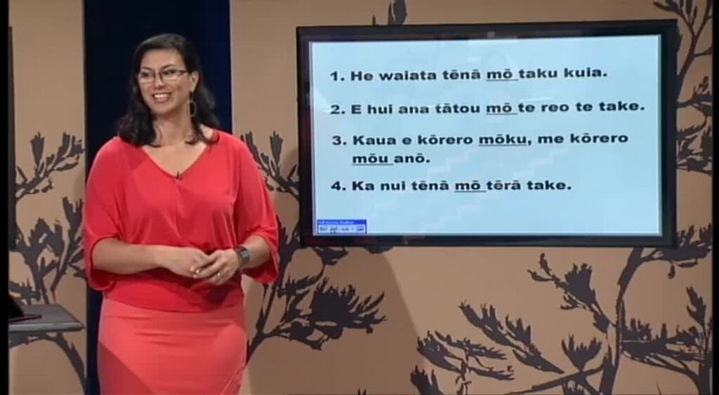 Ako Māori Television 