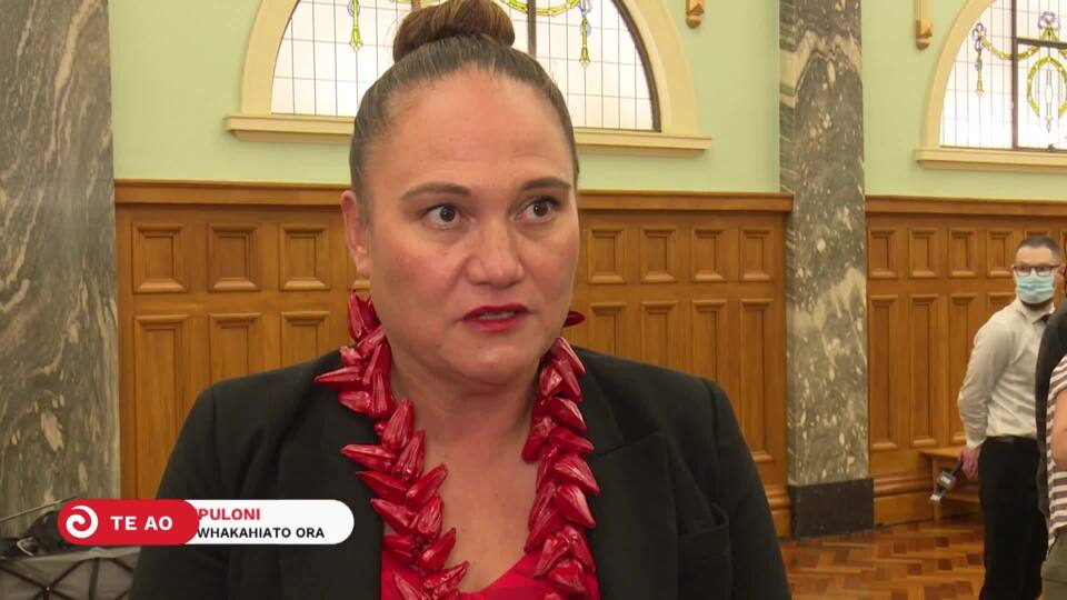 Video for Māori trade training underspend a &#039;failure&#039; - Nats&#039; Louise Upston