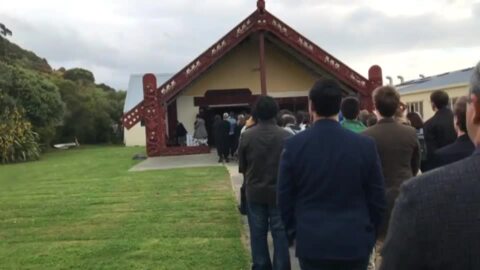 Video for Māori intellectual property hui welcomed
